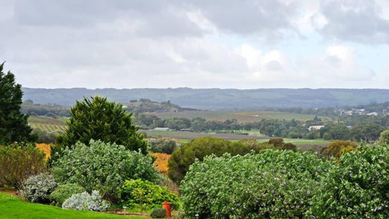 Photo of Outdoor in McLaren Vale