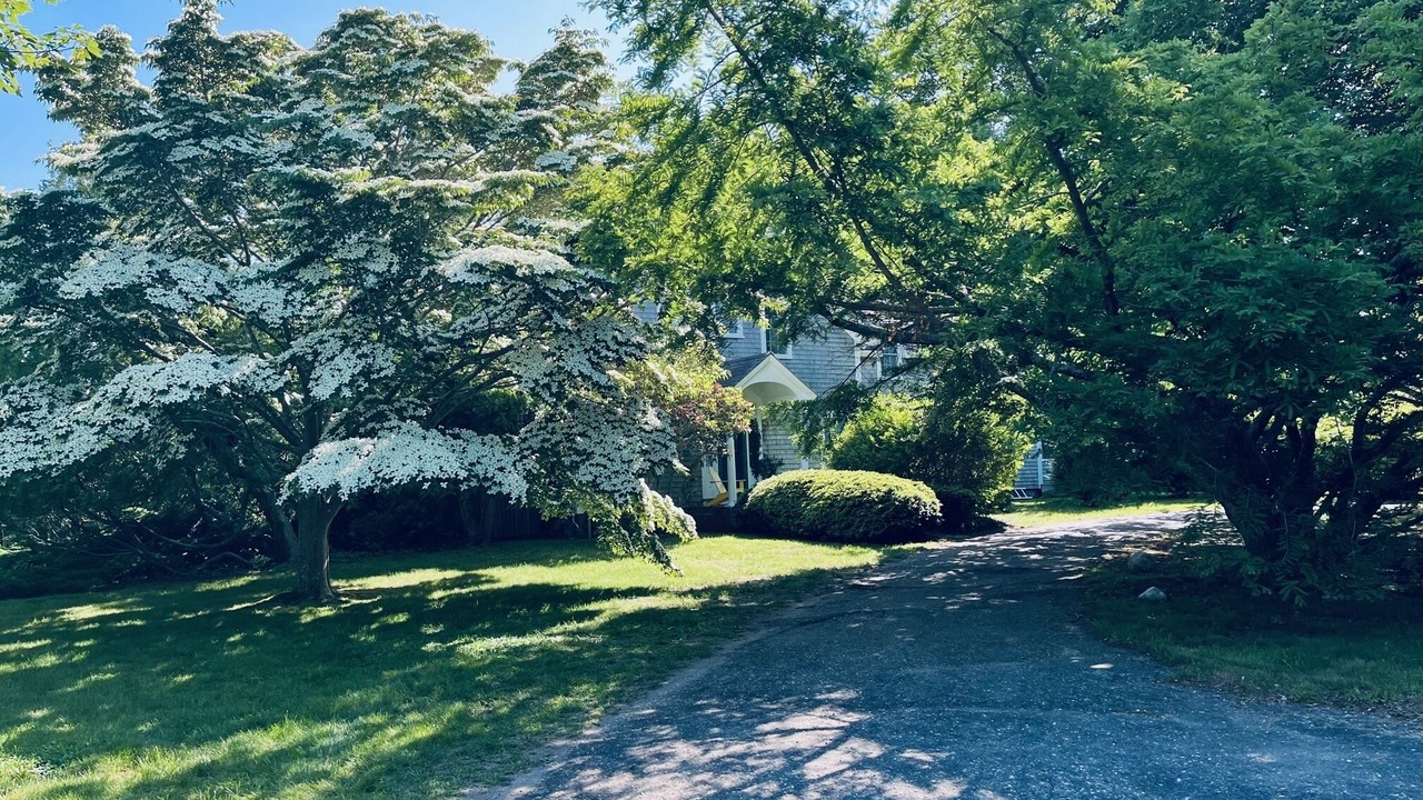 Photo of Outdoor in Chilmark