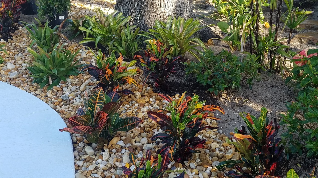Photo of Outdoor in Port Canaveral