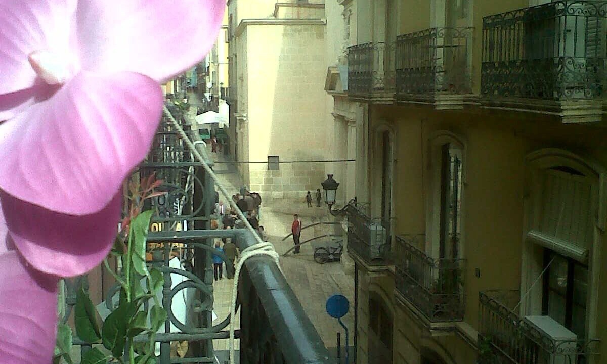 Photo of Others in Alicante City Centre