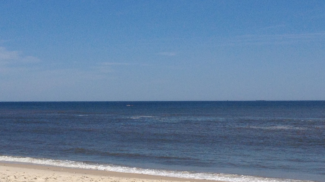 Photo of Others in Ocean Bay Park