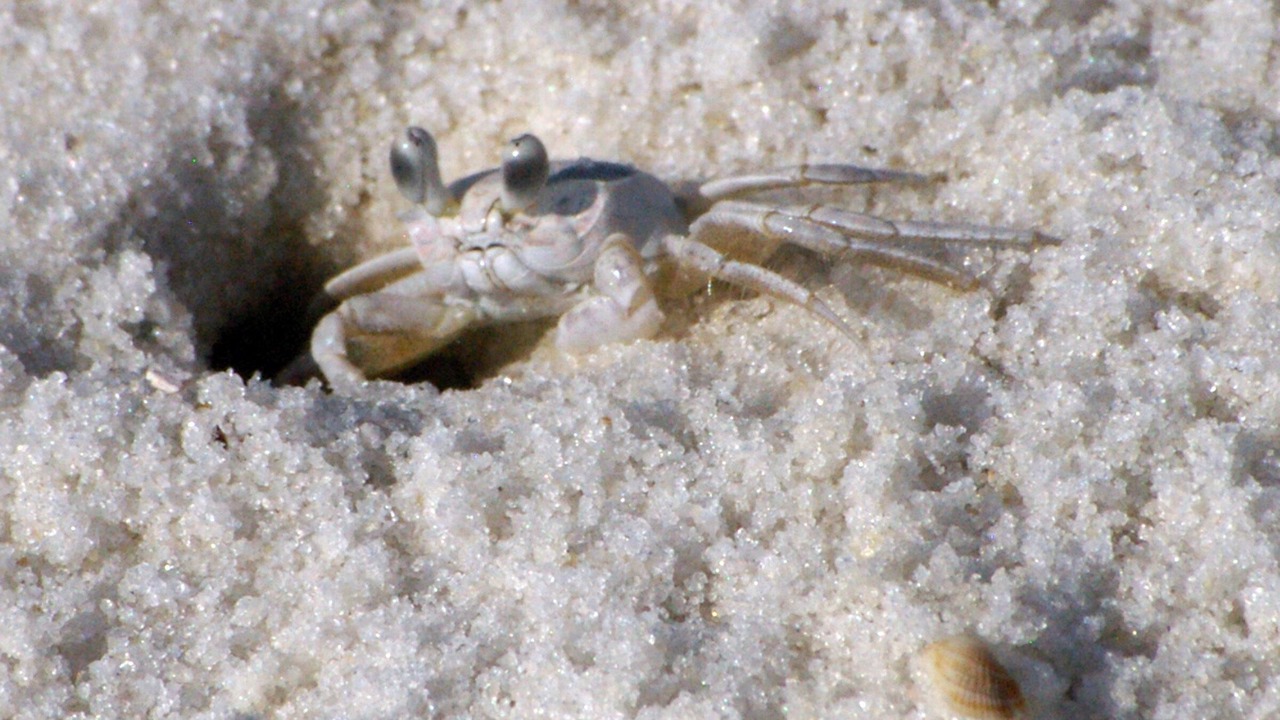Photo of Others in Long Beach