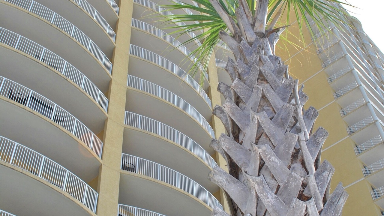 Photo of Others in Long Beach