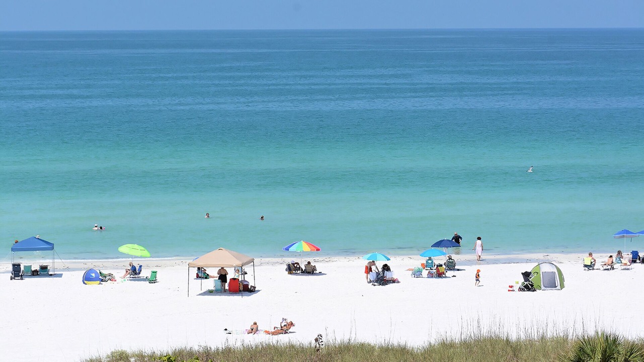Photo of Others in Siesta Key