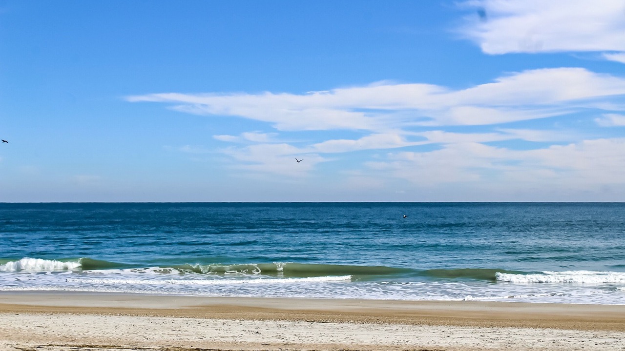 Photo of Others in Fernandina Beach