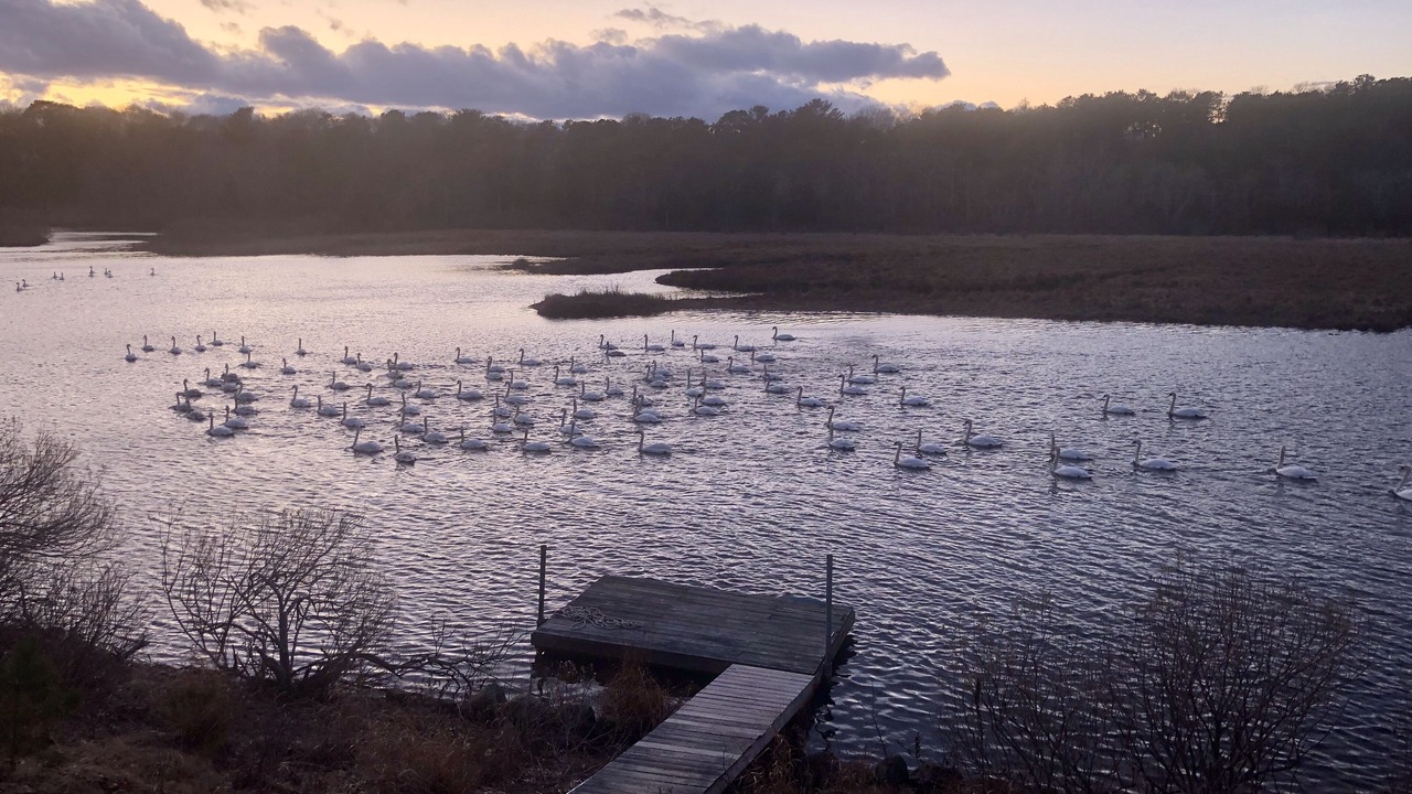 Photo of Outdoor in East Falmouth