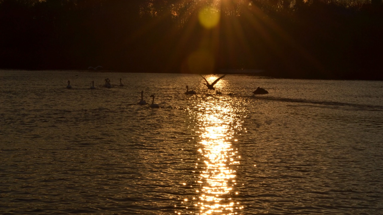 Photo of Others in East Falmouth