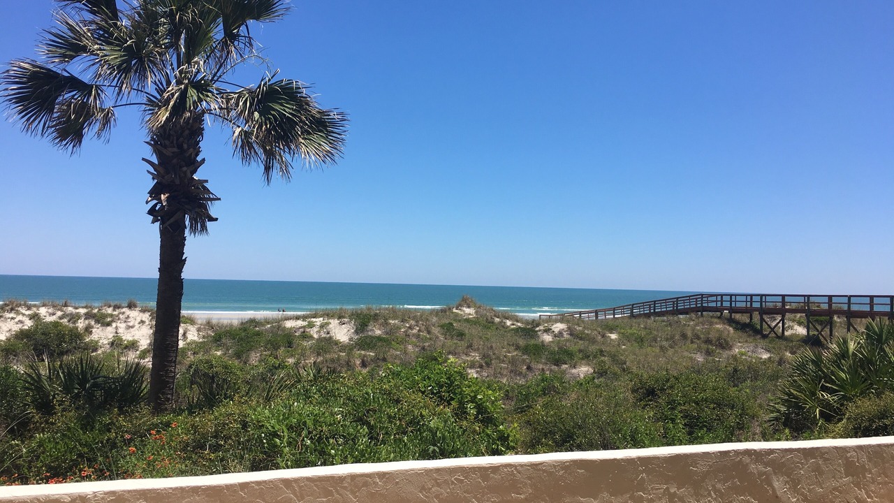 Photo of Others in Crescent Beach