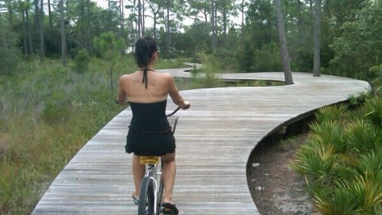 Photo of Others in Sugarwood Beach