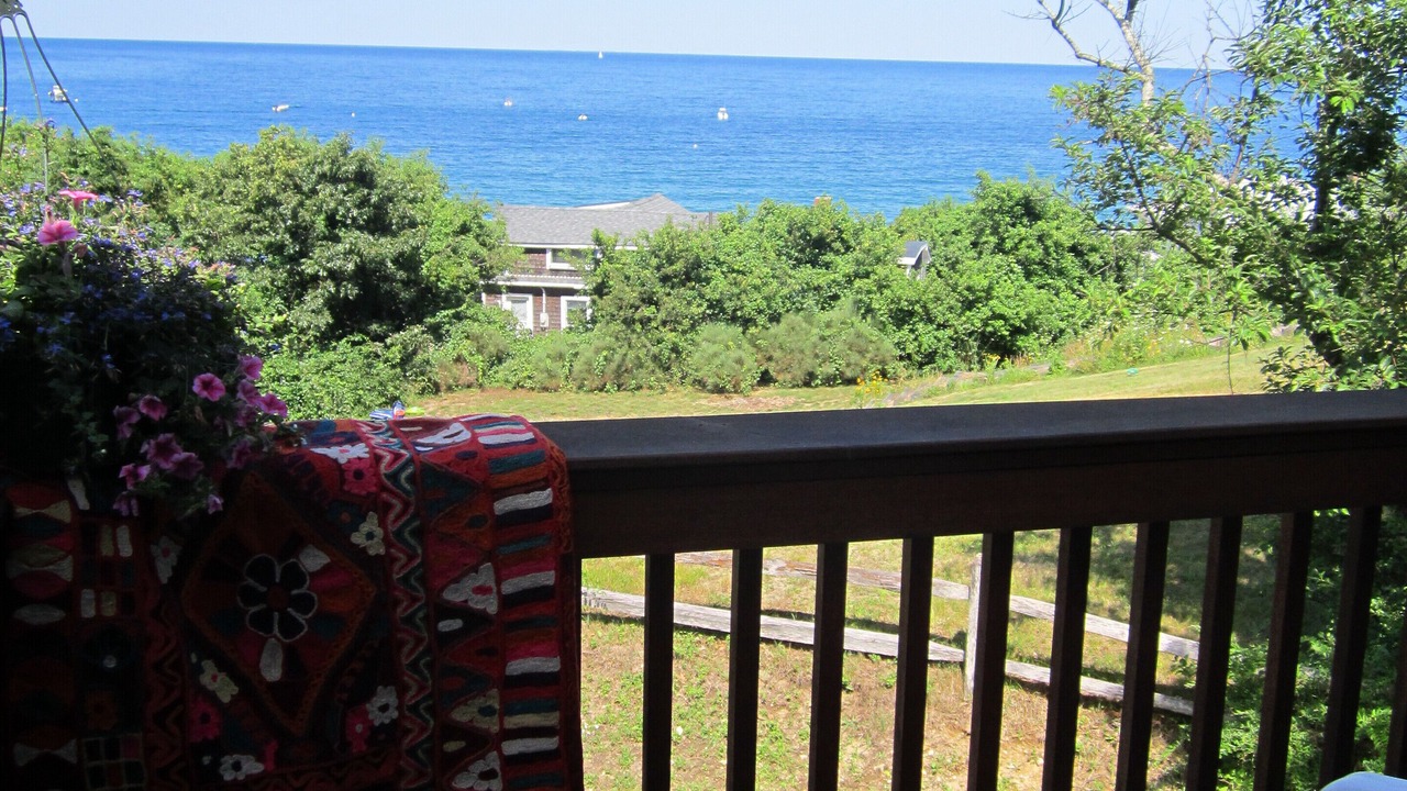 Photo of Outdoor in Cedar Bushes