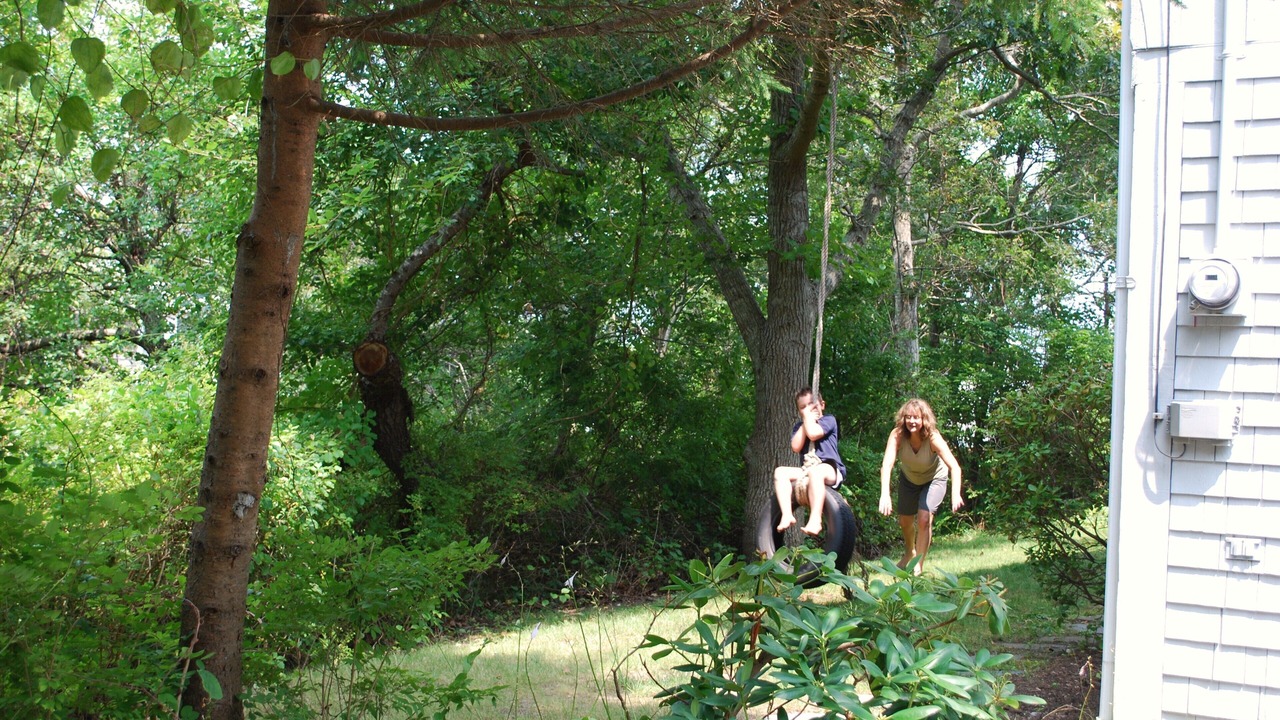Photo of Outdoor in Cedar Bushes
