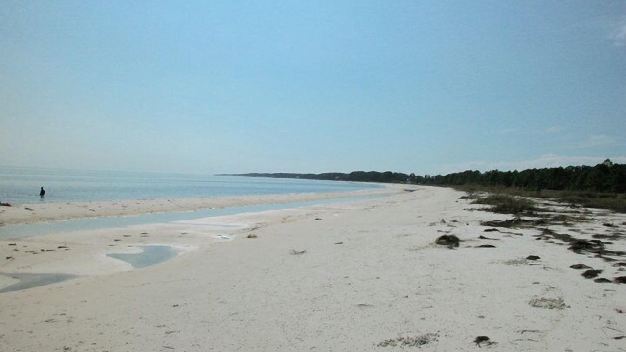 Photo of Others in Carrabelle
