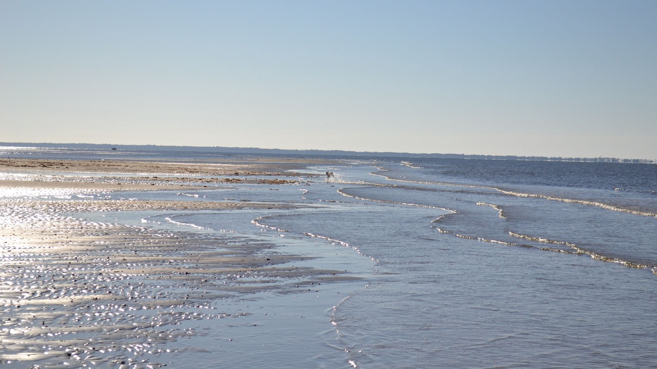 Photo of Others in Carrabelle