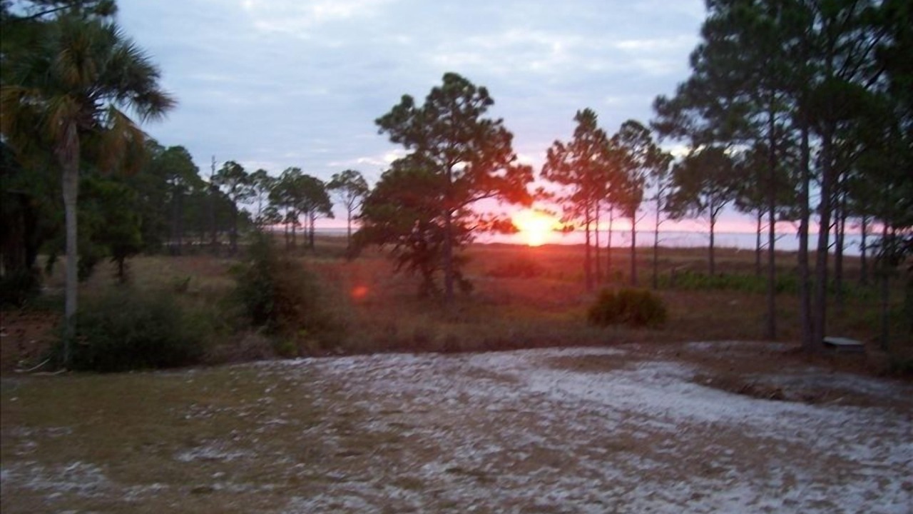 Photo of Others in Carrabelle
