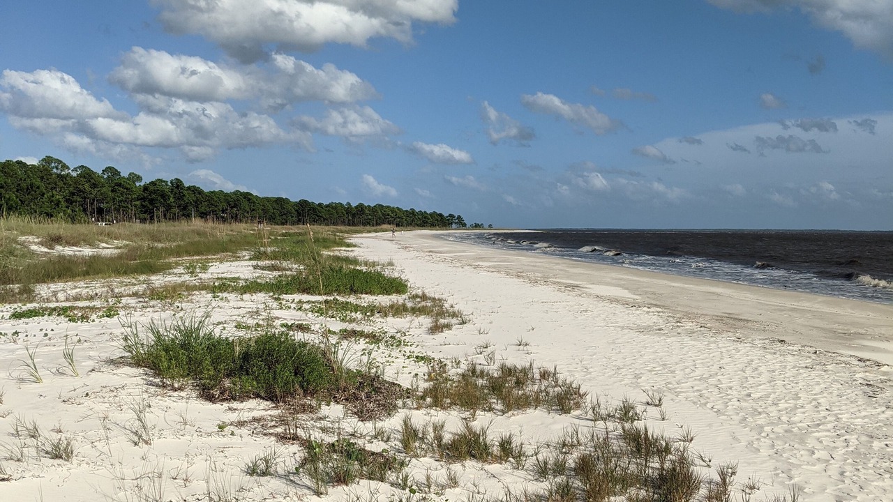 Photo of Others in Carrabelle