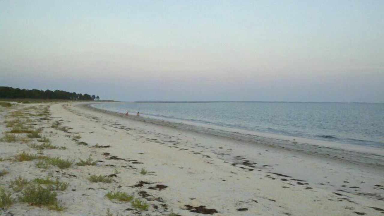 Photo of Others in Carrabelle