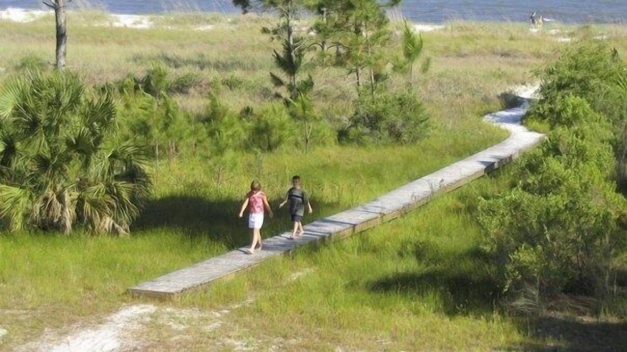 Photo of Others in Carrabelle