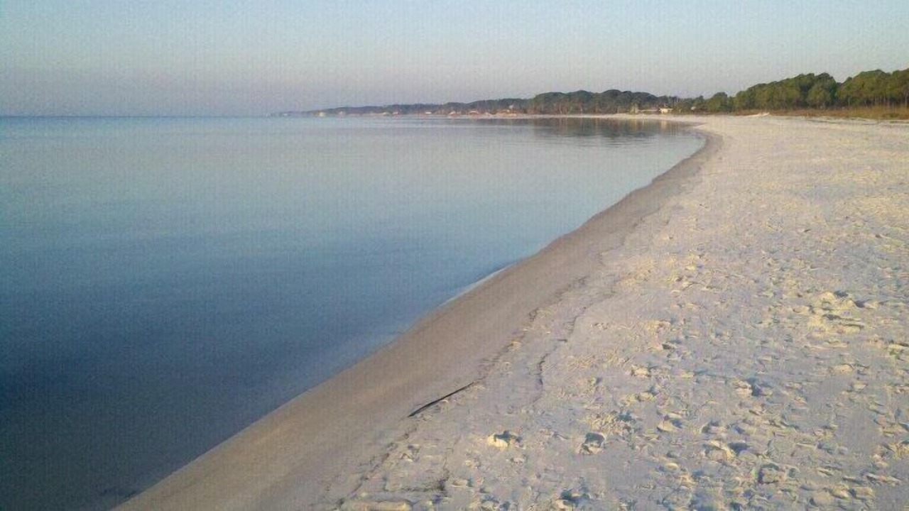 Photo of Others in Carrabelle