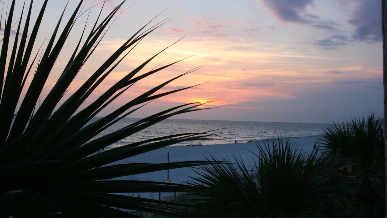 Photo of Patio Balcony in Biltmore Beach