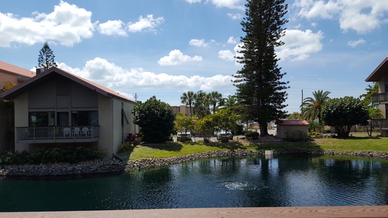 Photo of Outdoor in Siesta Key