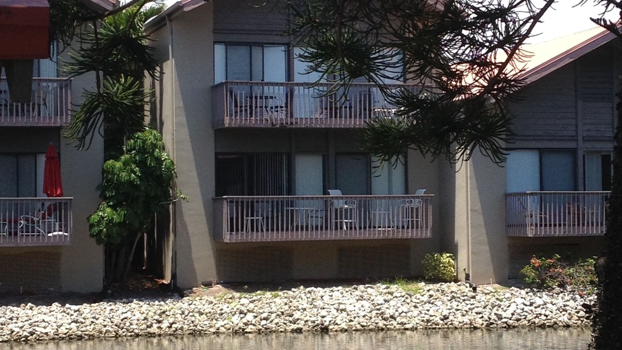 Photo of Outdoor in Siesta Key