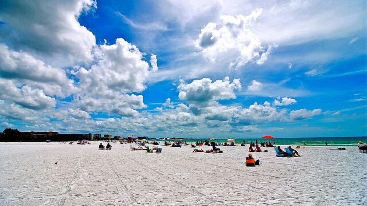Photo of Others in Siesta Key