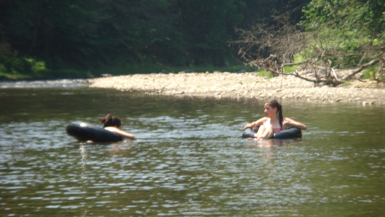 Photo of Others in Chesterfield