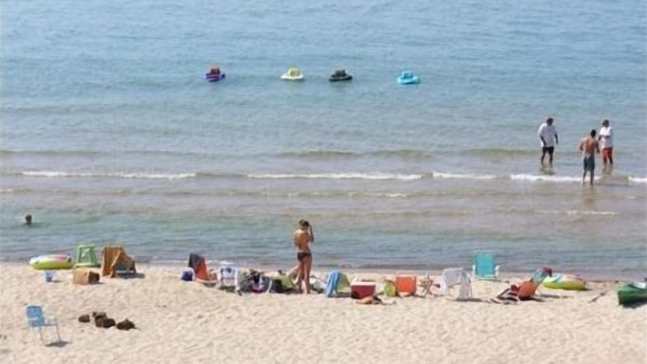 Photo of Others in Porter Beach