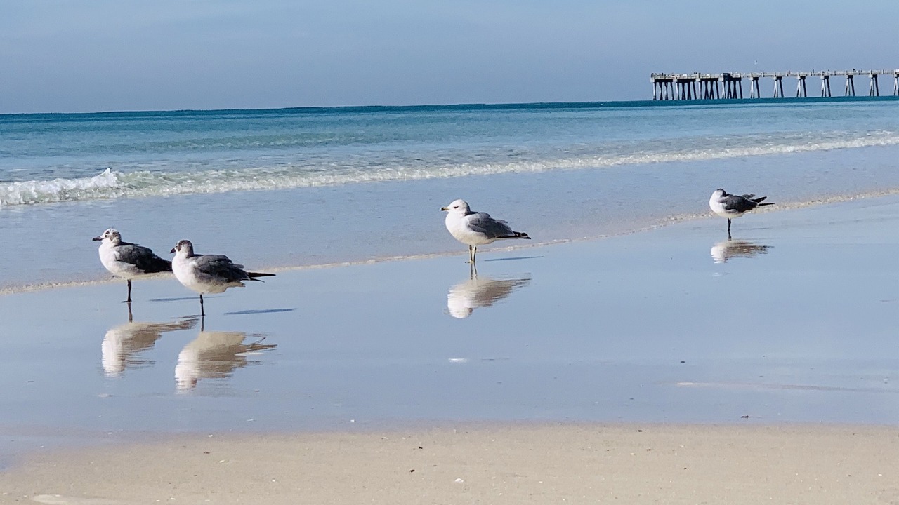 Photo of Others in Long Beach