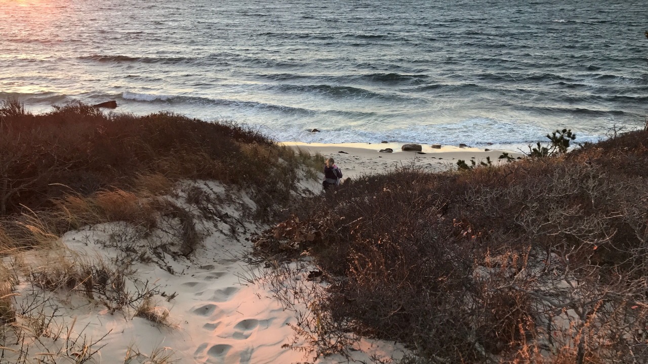 Photo of Others in Vineyard Haven