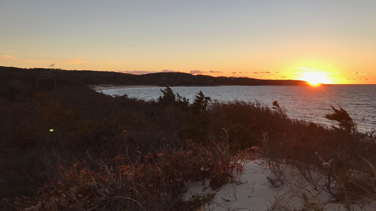 Photo of Others in Vineyard Haven