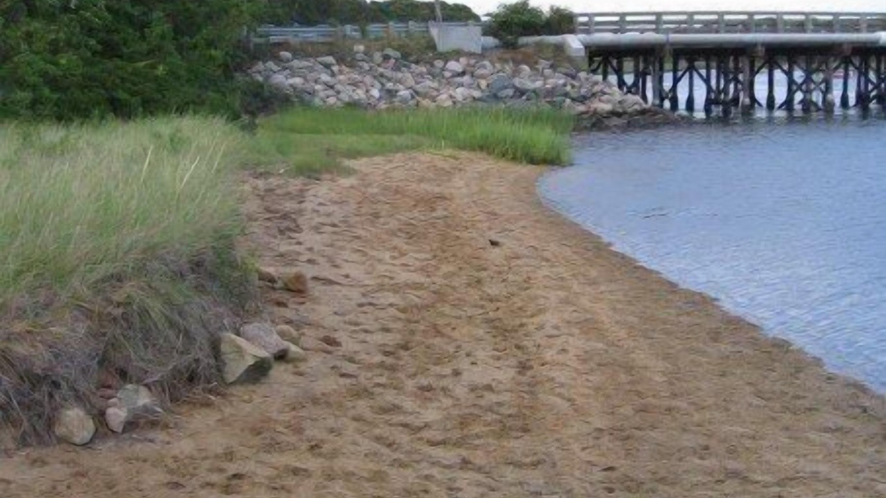 Photo of Others in West Harwich