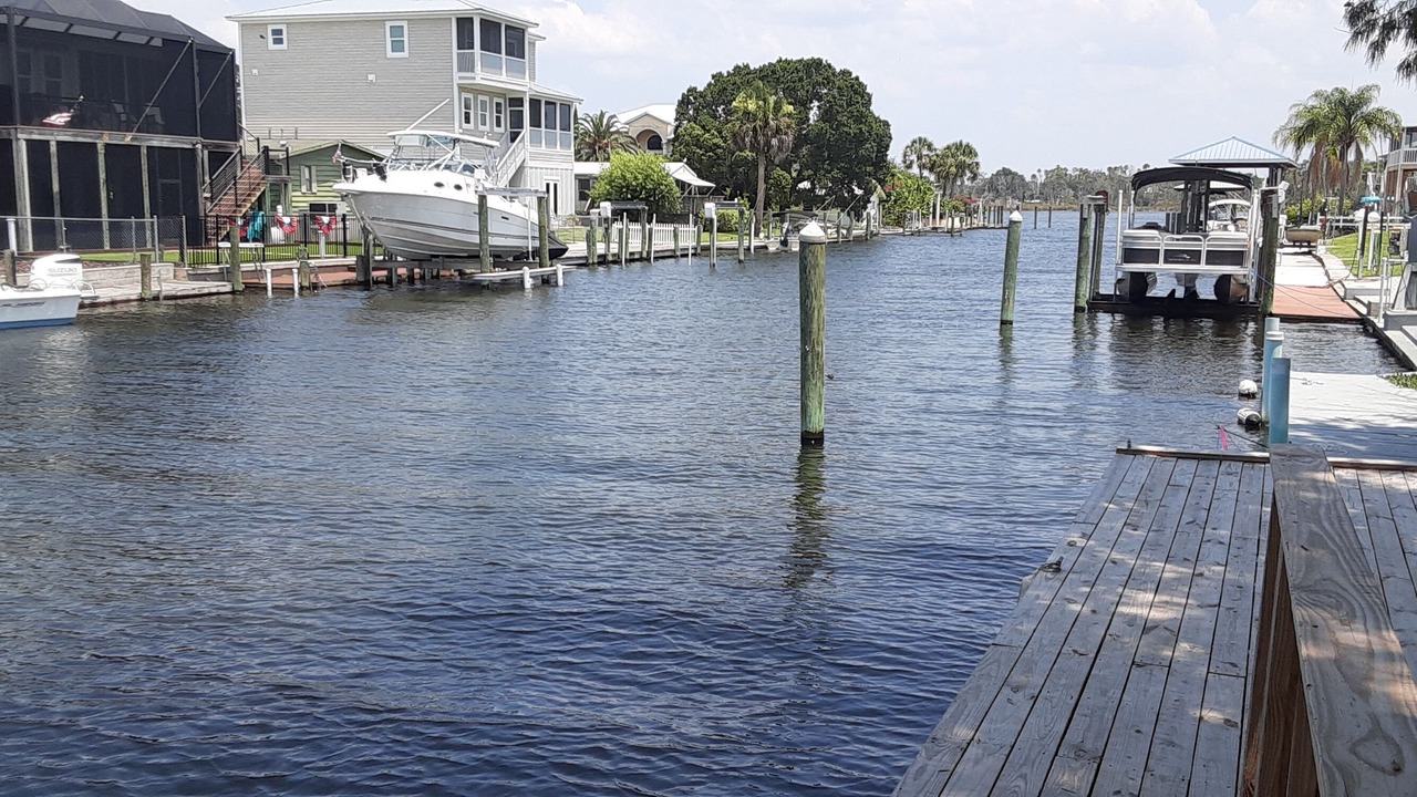 Photo of Others in Crystal River