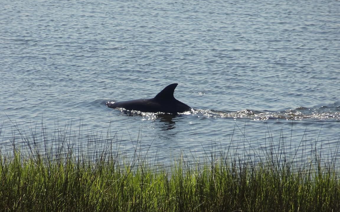 Photo of Others in Crawfordville