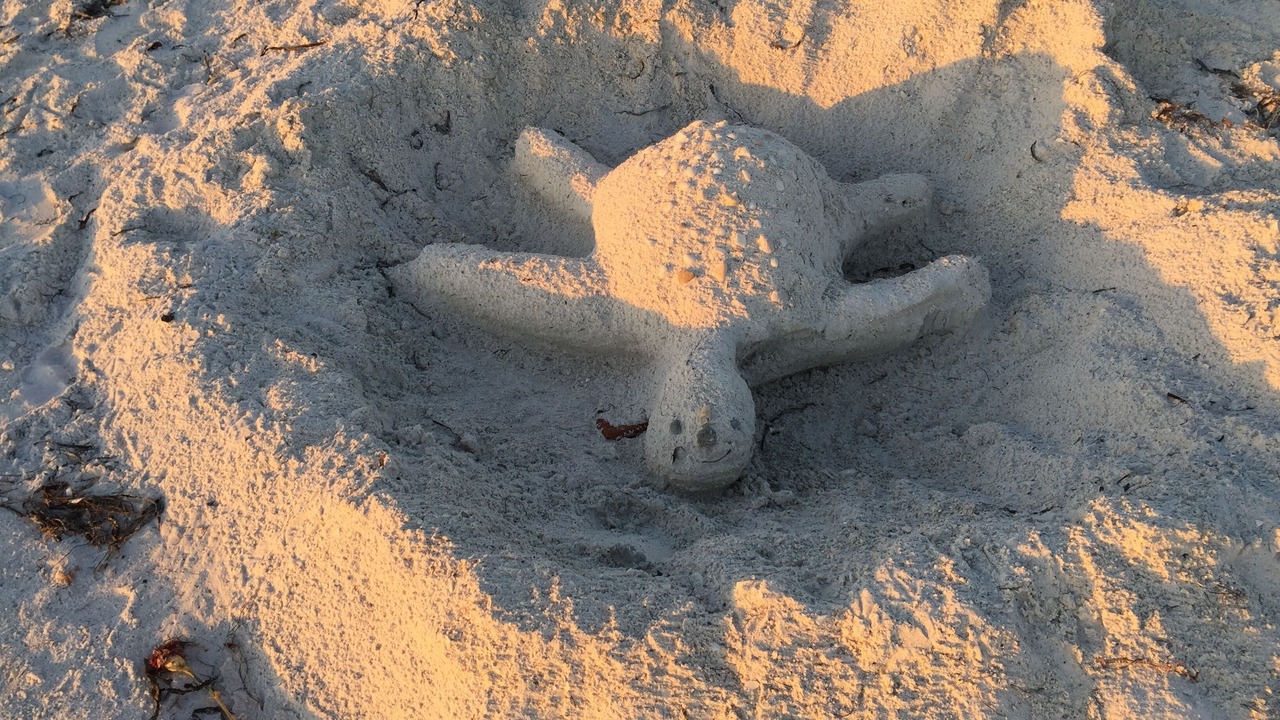 Photo of Others in Holmes Beach