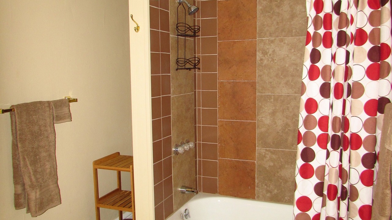 Photo of Bathroom in Downtown Niagara Falls
