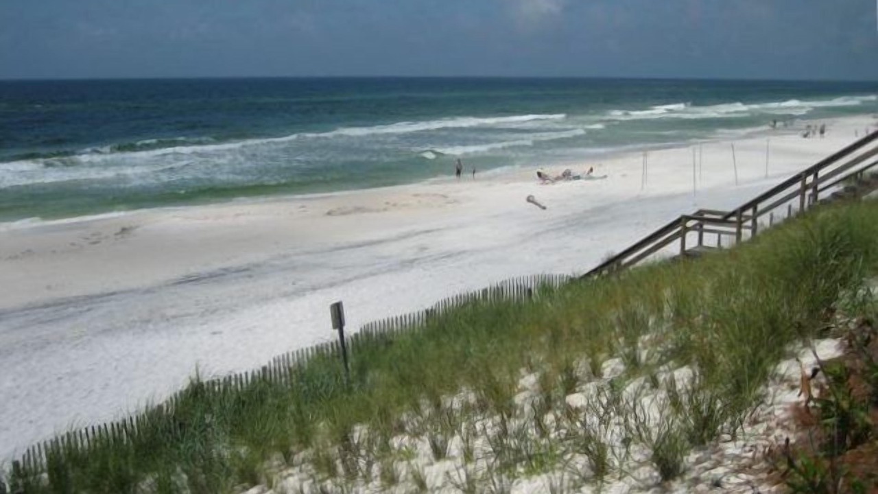 Photo of Others in Gulf Place