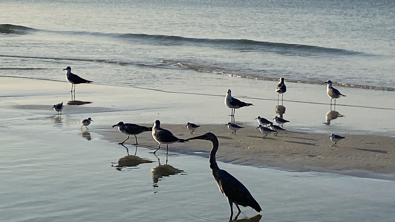 Photo of Others in Rosemary Beach