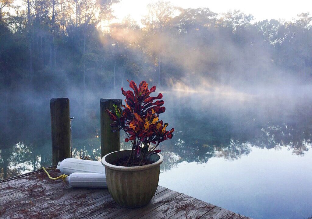 Photo of Outdoor in Dunnellon