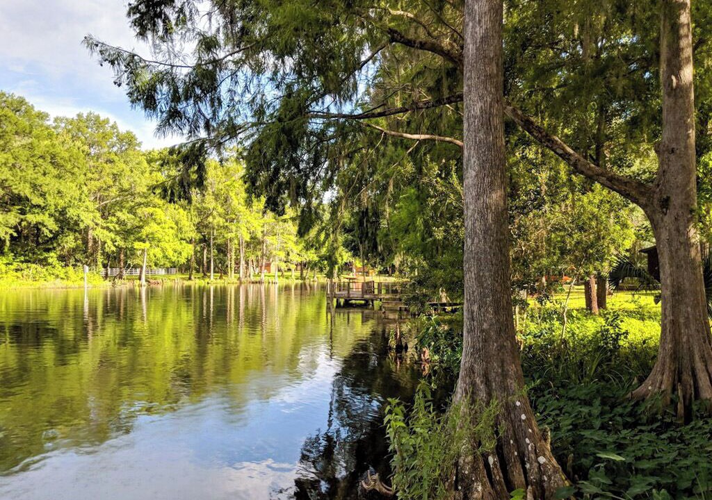 Photo of Outdoor in Dunnellon