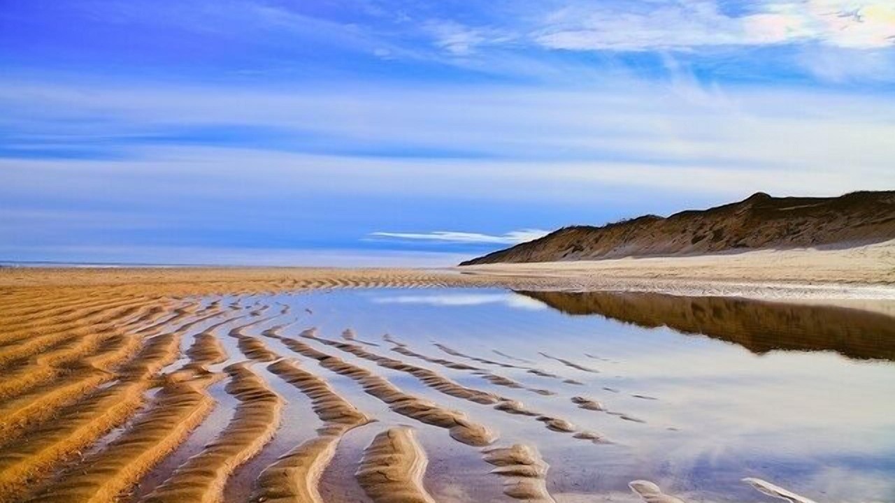 Photo of Others in Wellfleet