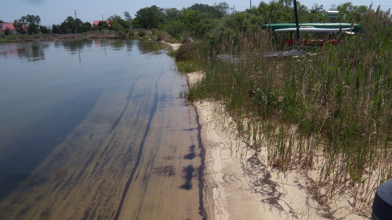 Photo of Others in Piney Point