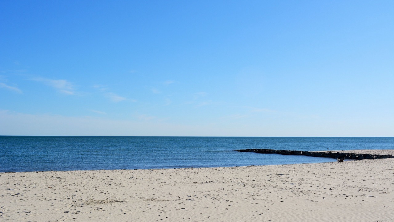 Photo of Others in South Harwich