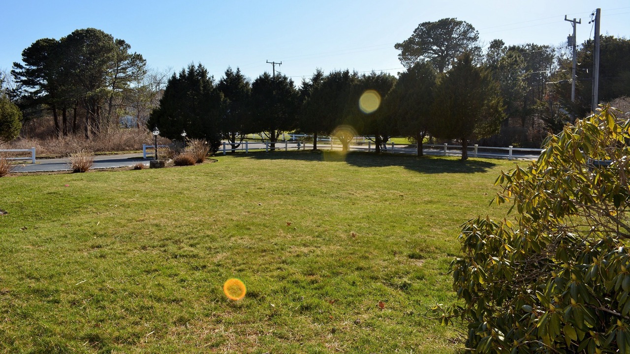 Photo of Others in South Harwich