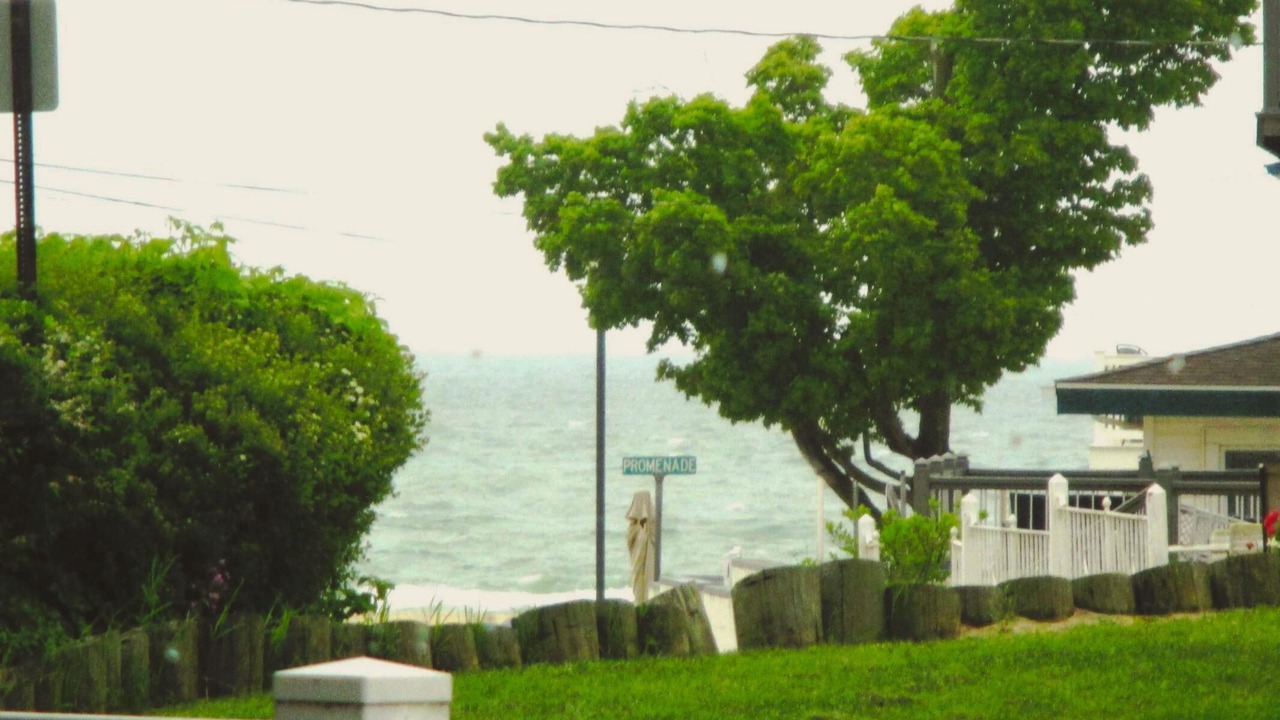 Photo of Others in South Haven