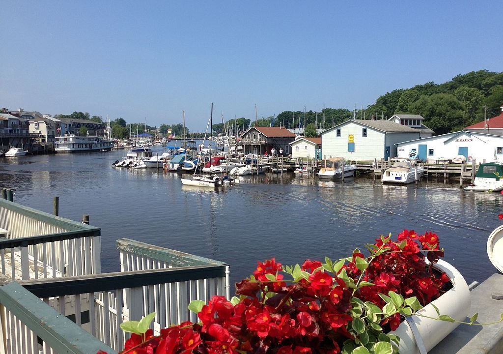 Photo of Others in South Haven
