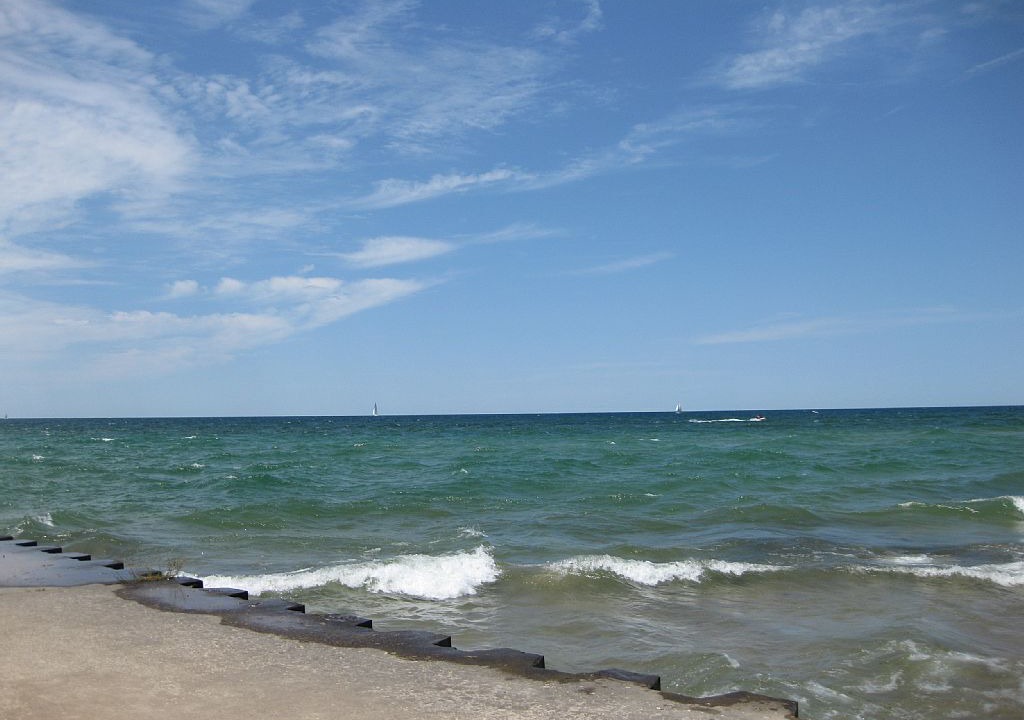 Photo of Others in South Haven