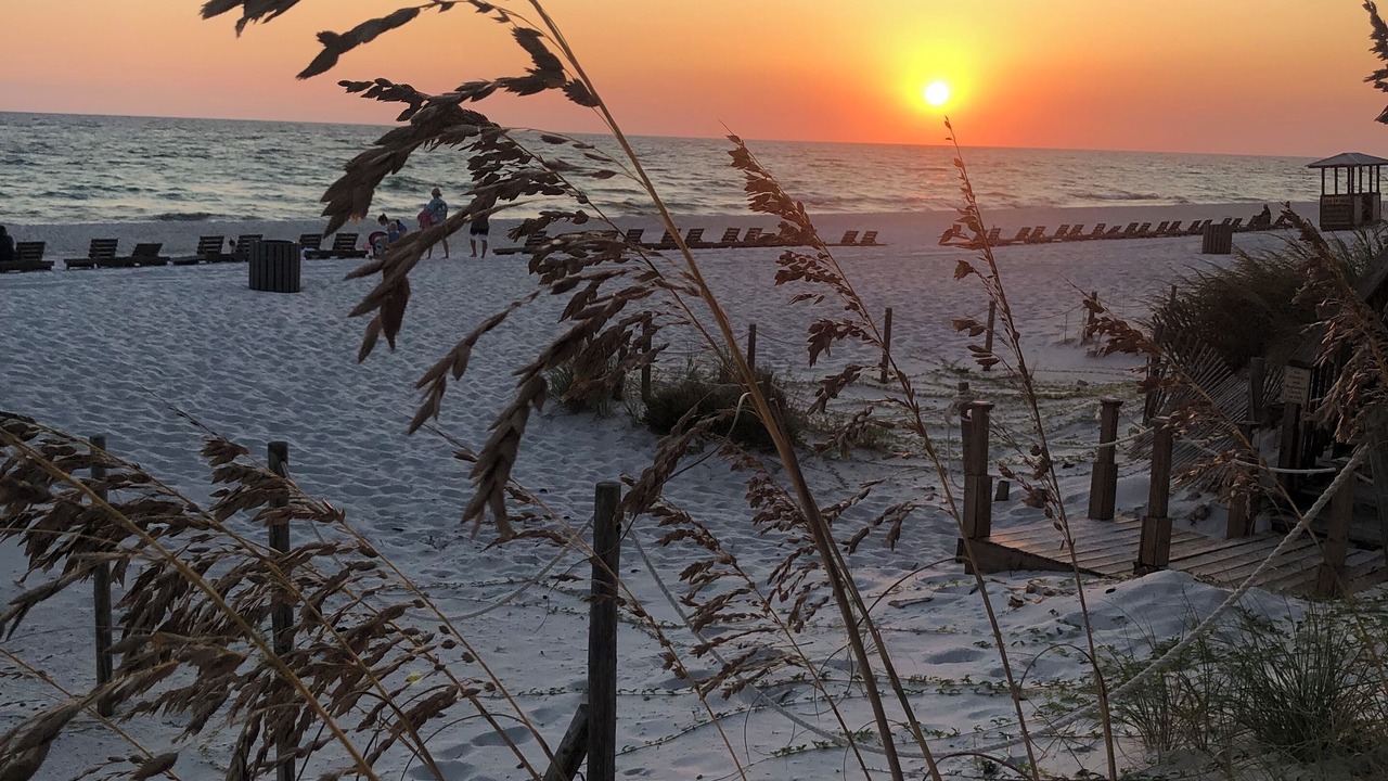 Photo of Others in Gulf Lagoon Beach