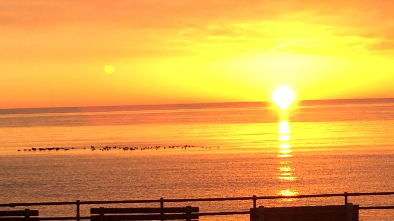 Photo of Others in Oak Bluffs