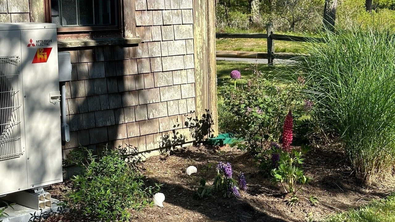 Photo of Outdoor in Eel Point